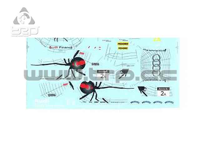 TRPscale Calcas al Agua 1:28 Audi R8 Bathurst 2 - imagen 2